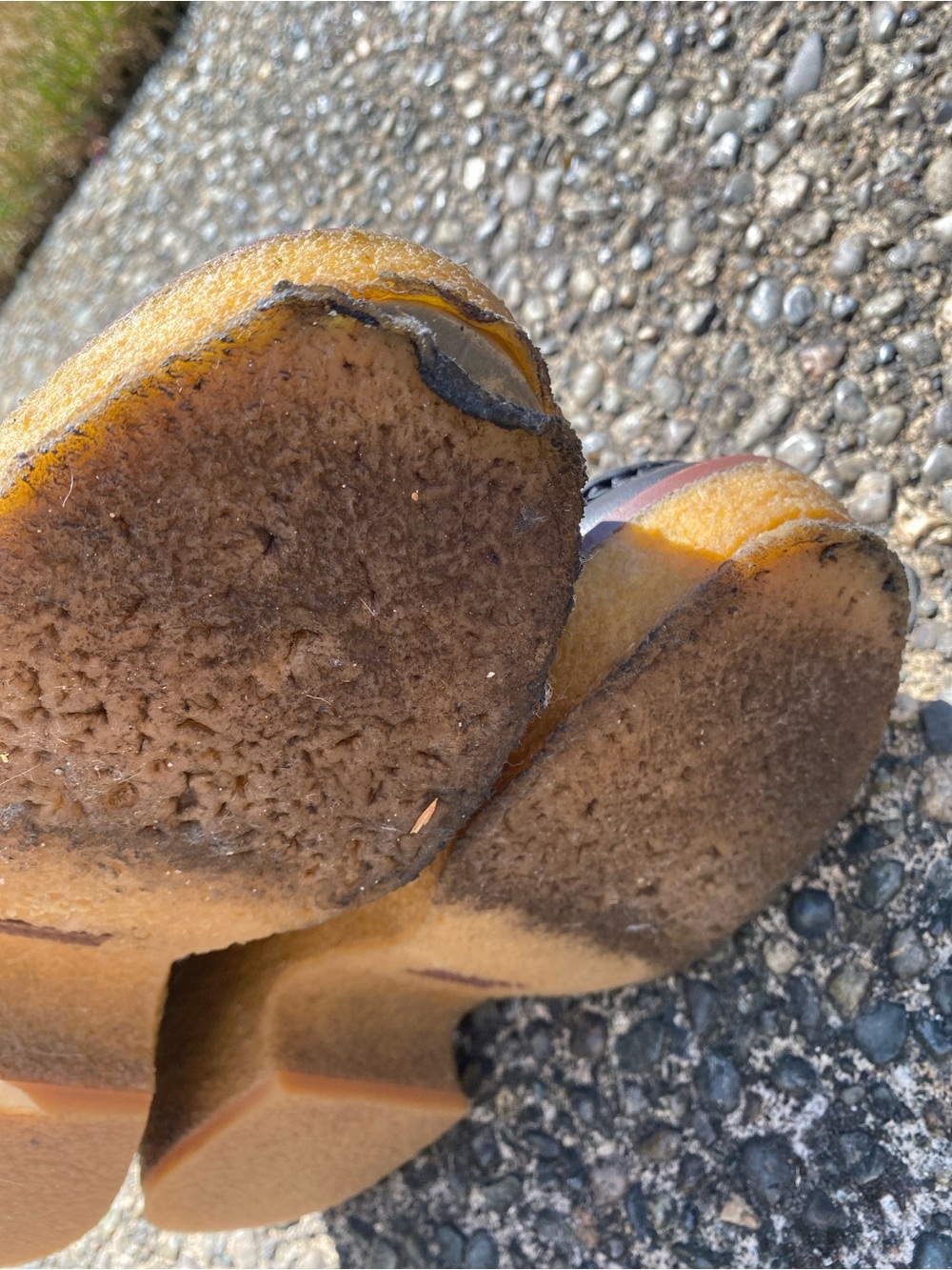Coach Chelsea boot - Picture 5 of 6